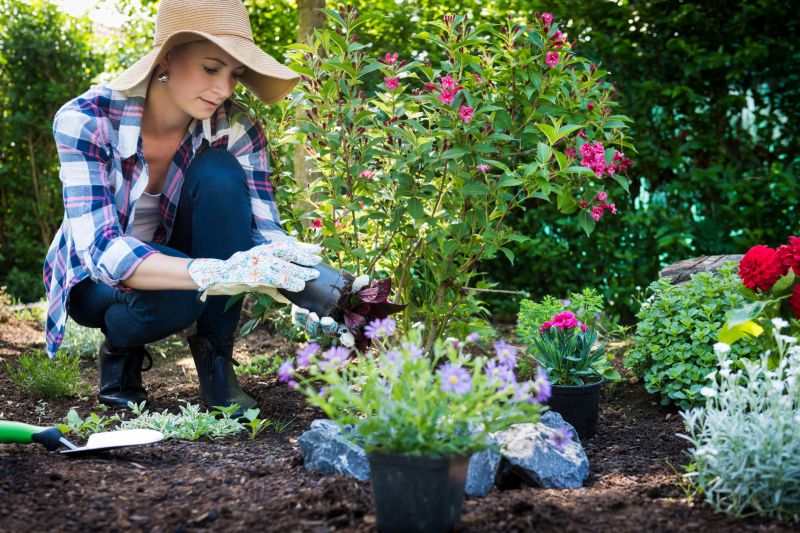 Small Garden Landscaping in Honolulu, HI