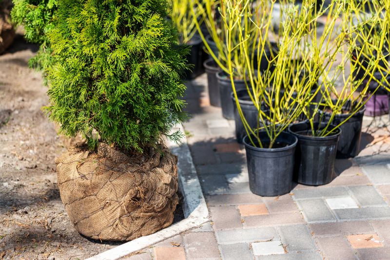 Bush Planting Service in Ventura County, CA